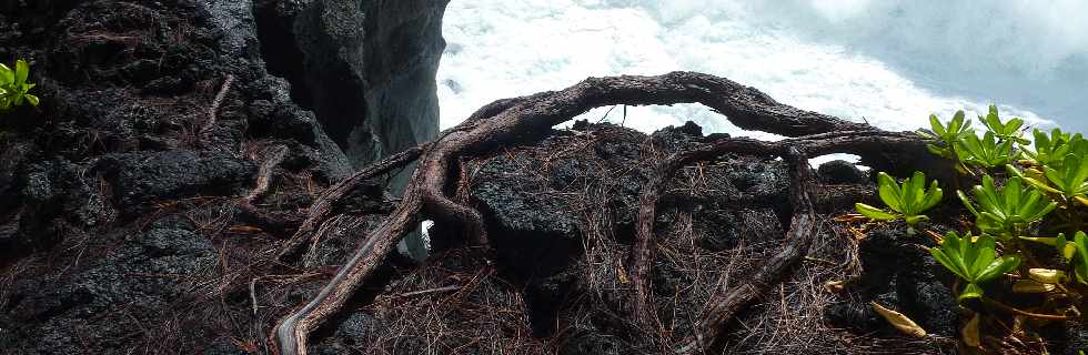 Ctes de l'Enclos du Piton de la Fournaise- Coule 2005