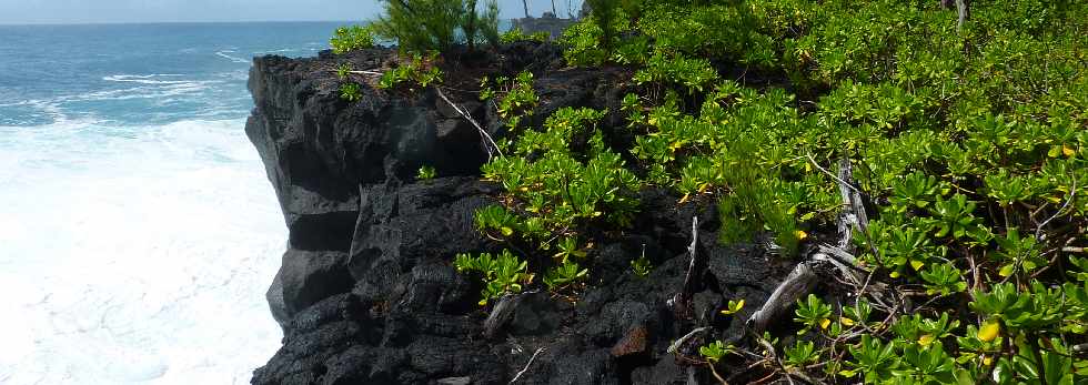 Ctes de l'Enclos du Piton de la Fournaise- Coule 2005