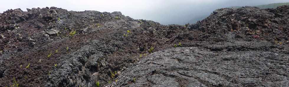 Ctes de l'Enclos du Piton de la Fournaise- Coule 2005