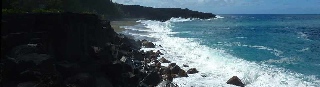 Plage du Tremblet - avril 2012