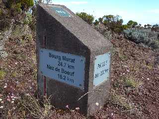 Borne ONF Bourg Murat à 24,7 km - Pas de Bellecombe