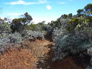 Sentier vers le Nez Coup de Ste-Rose