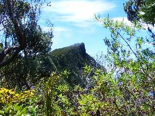 Sentier du Nez Coup de Ste-Rose -