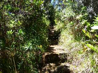 Sentier du Nez Coup de Ste-Rose -