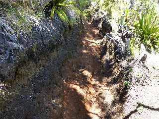 Sentier du Nez Coup de Ste-Rose -