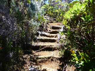 Sentier du Nez Coup de Ste-Rose - Retour