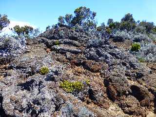 Sentier du Nez Coup de Ste-Rose -