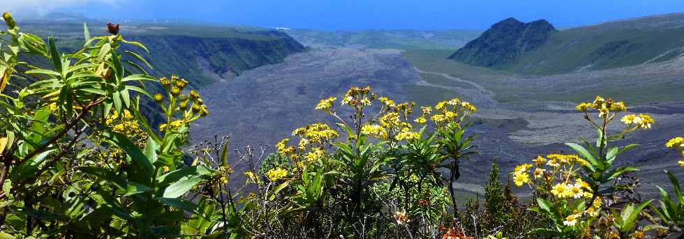 Nez Coup de Ste-Rose - Vue sur les Grandes Pentes et le Piton de Crac