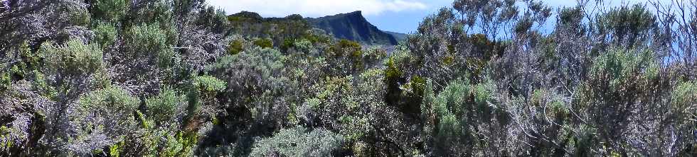 Sentier du Nez Coup de Ste-Rose -