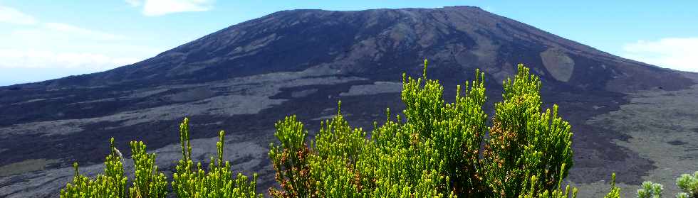 Sentier du Nez Coup de Ste-Rose - Vue sur la Fournaise