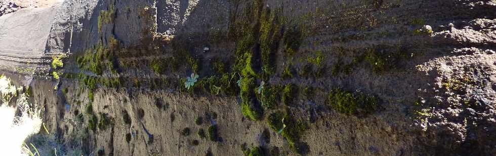 Piton de la Fournaise - Petite Carrire - Cendres de Bellecombe