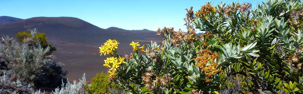 Vue sur la Plaine des Sables