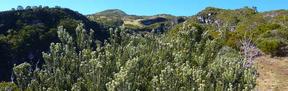 Juillet 2013 - Plaine des Cafres - Tour des Trous Blancs -