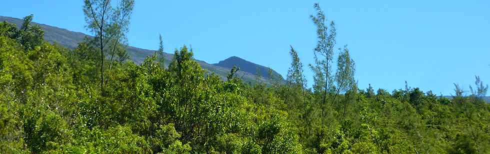 2014 - Piton de la Fournaise - Enclos - Piton de Crac