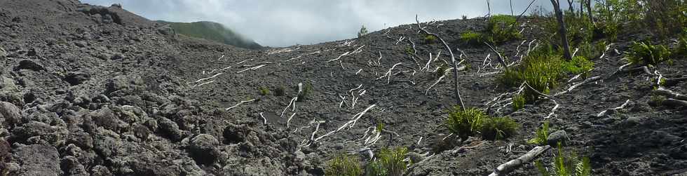 2014 - Piton de la Fournaise - Enclos -