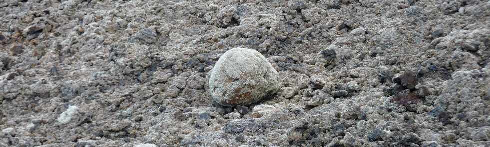 Piton de la Fournaise - Bombe volcanique - Stereocaulon vulcani