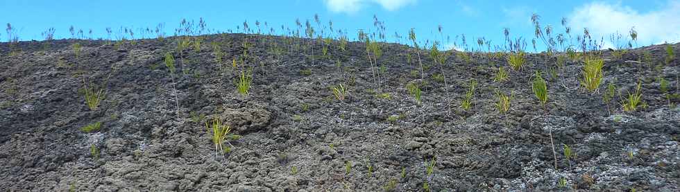 2014 - Piton de la Fournaise - Enclos -