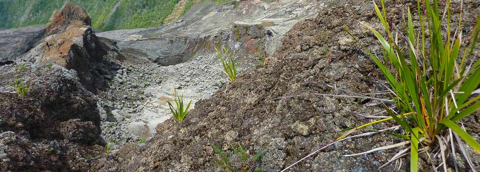 2014 - Piton de la Fournaise - Enclos -