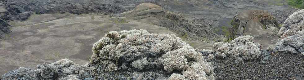 2014 - Piton de la Fournaise - Enclos -