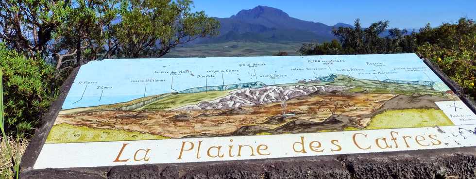 4 octobre 2014 - Route du volcan - Point de vue sur la Plaine des Cafres