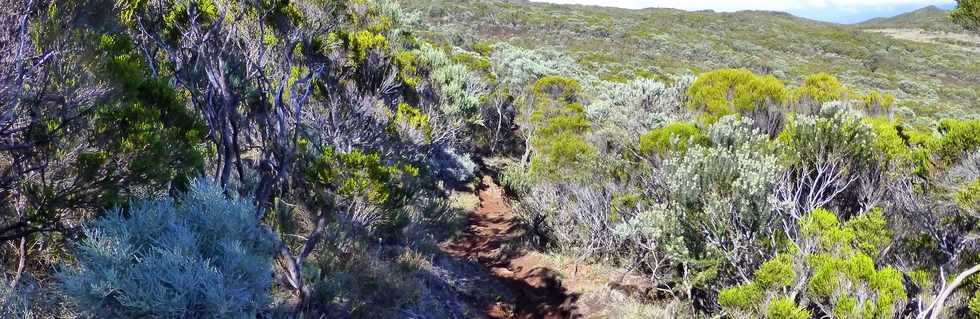 4 octobre 2014 - GR2 - Sentier Textor - Argamasse