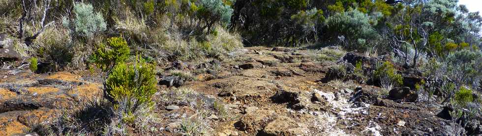 4 octobre 2014 - GR2 - Sentier Textor - Argamasse