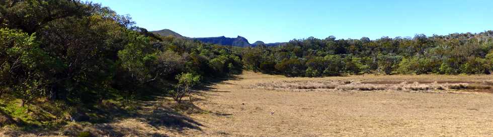 4 octobre 2014 - GR2 - Mare du Piton Argamasse