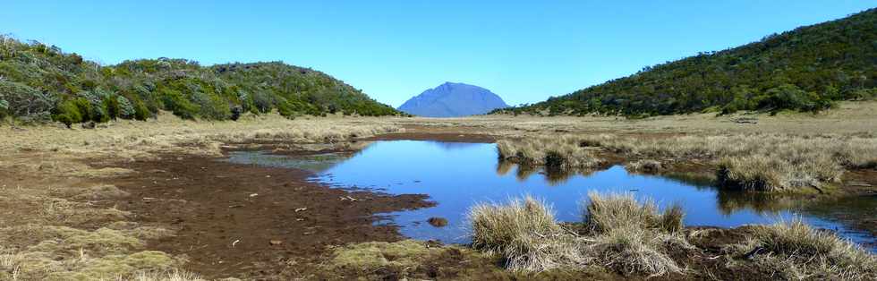 4 octobre 2014 - GR2 - Mare du Piton Argamasse