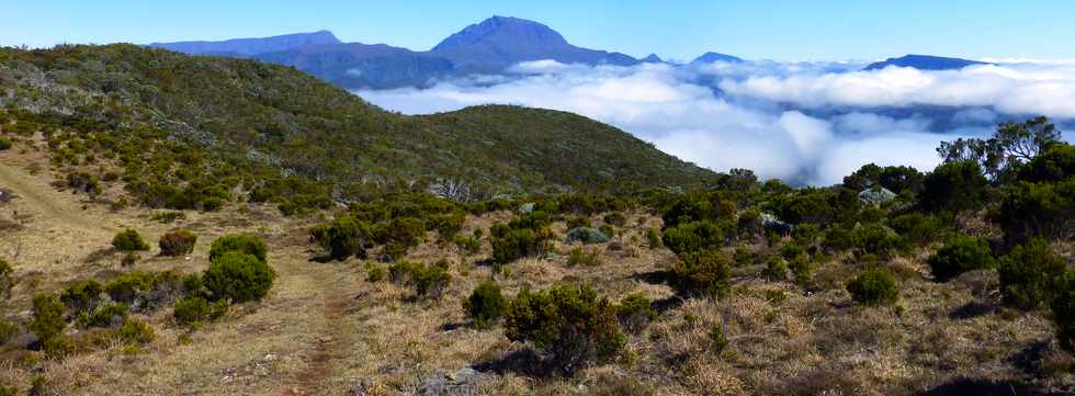 4 octobre 2014 - GR2 - Mare du Piton Argamasse