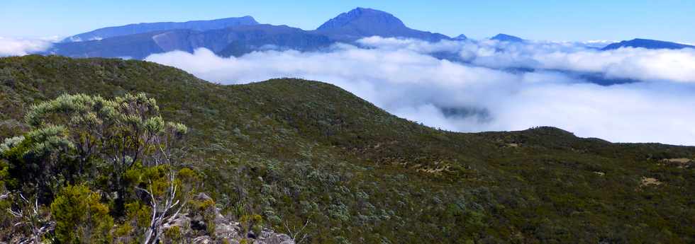 4 octobre 2014 - GR2 - Piton Argamasse