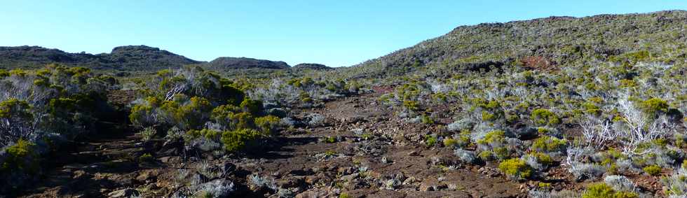 31 octobre 2014 - Volcan - Vers le Piton des Basaltes