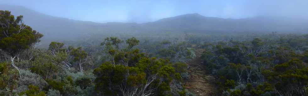 31 octobre 2014 - Volcan - Vers le Piton des Basaltes