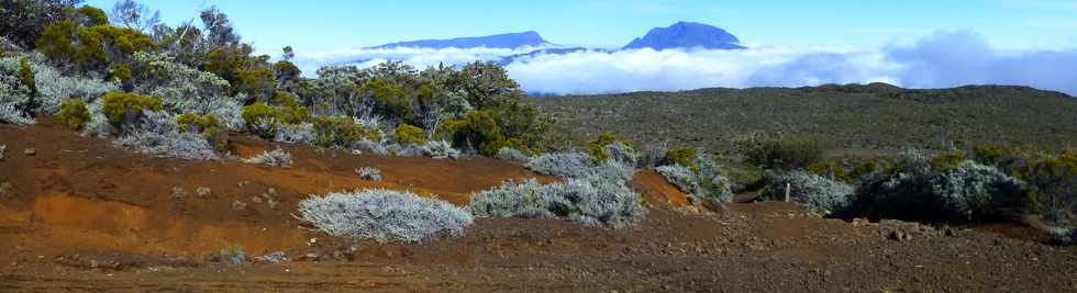 31 octobre 2014 - Volcan - Vue depuis le Piton des Basaltes vers le Piton des Neiges