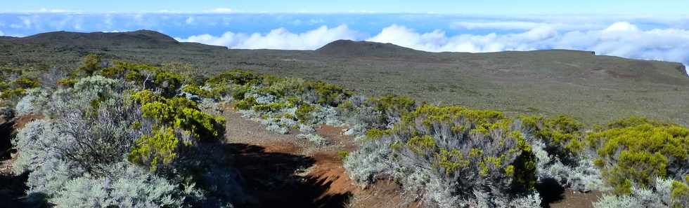 31 octobre 2014 - Volcan - Vue depuis le Piton des Basaltes