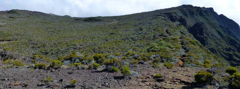 31 octobre 2014 - Massif du Piton de la Fournaise - Sentier du Rempart de la Rivire de l'Est -