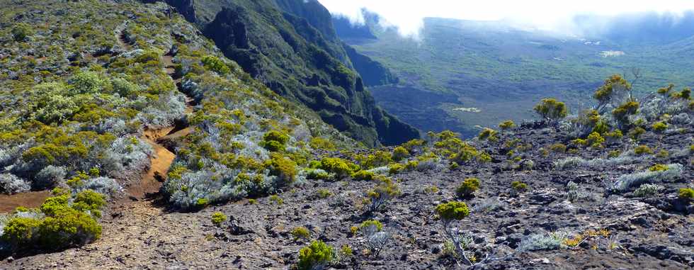 31 octobre 2014 - Massif du Piton de la Fournaise - Sentier du Rempart de la Rivire de l'Est -