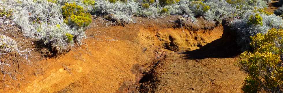 31 octobre 2014 - Massif du Piton de la Fournaise - Sentier du Rempart de la Rivire de l'Est -