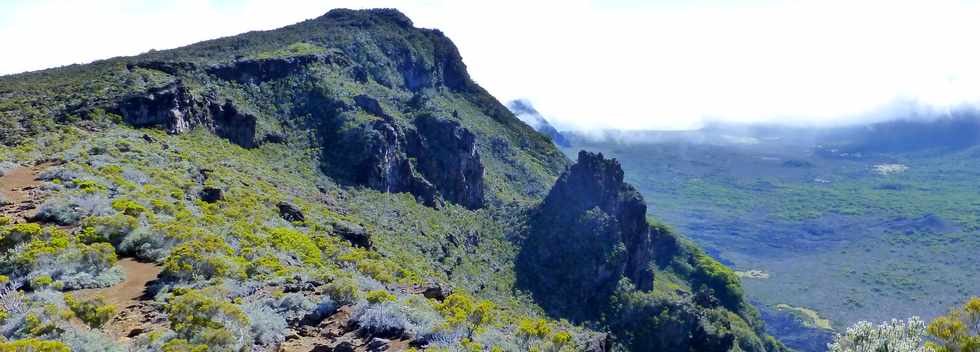 31 octobre 2014 - Massif du Piton de la Fournaise - Sentier du Rempart de la Rivire de l'Est - Savane du Rond