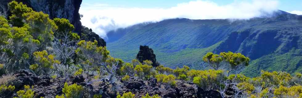 31 octobre 2014 - Massif du Piton de la Fournaise - Sentier du Rempart de la Rivire de l'Est -