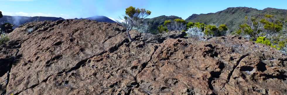 31 octobre 2014 - Massif du Piton de la Fournaise - Sentier du Rempart de la Rivire de l'Est -