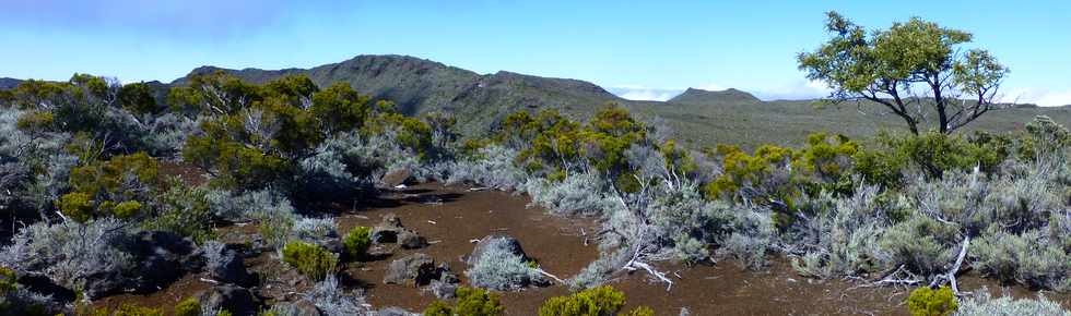 31 octobre 2014 - Massif du Piton de la Fournaise - Sentier du Rempart de la Rivire de l'Est -