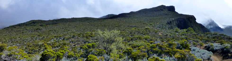 31 octobre 2014 - Massif du Piton de la Fournaise - Sentier du Rempart de la Rivire de l'Est -