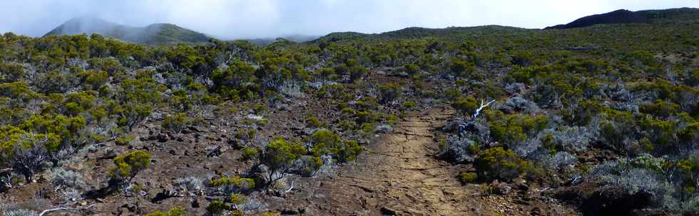 31 octobre 2014 - Massif du Piton de la Fournaise - Sentier du Rempart de la Rivire de l'Est -