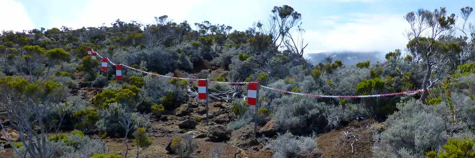 31 octobre 2014 - Massif du Piton de la Fournaise - Sentier du Rempart de la Rivire de l'Est - Zone fracture