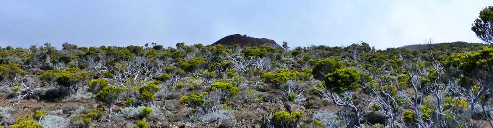 31 octobre 2014 - Massif du Piton de la Fournaise - Sentier du Rempart de la Rivire de l'Est - Cratre 400 ans