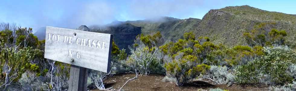 31 octobre 2014 - Massif du Piton de la Fournaise - Sentier du Rempart de la Rivire de l'Est - Lot de chasse n 6