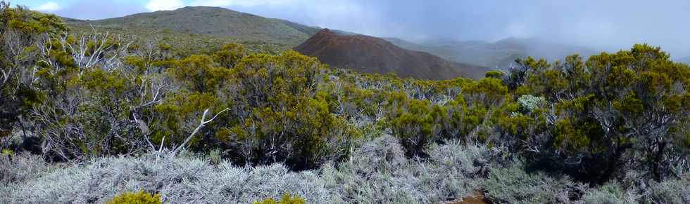 31 octobre 2014 - Massif du Piton de la Fournaise - Sentier du Rempart de la Rivire de l'Est - Cratre 400 ans