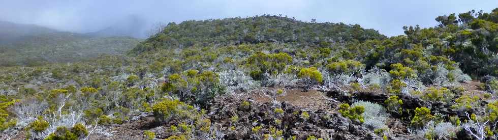 31 octobre 2014 - Massif du Piton de la Fournaise - Sentier du Rempart de la Rivire de l'Est - Piton Sauvetage -