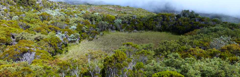 31 octobre 2014 - Massif du Piton de la Fournaise - Sentier du Rempart de la Rivire de l'Est - Piton Sauvetage - Cratre intrieur