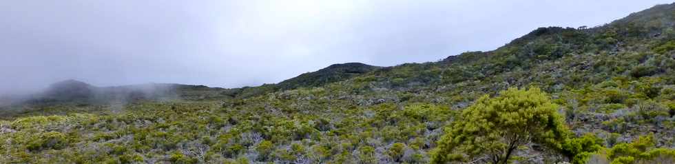 31 octobre 2014 - Massif du Piton de la Fournaise - Sentier du Rempart de la Rivire de l'Est - Piton Sauvetage -